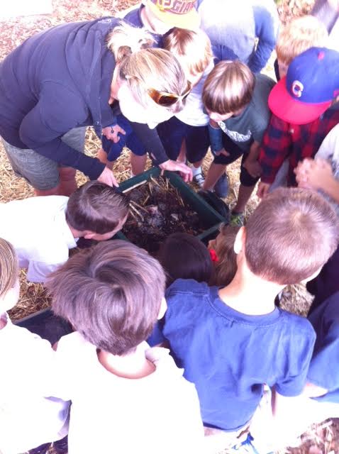 It's a Garden Party–Lettuce Turn-ip the Beet!!  Phoebe 